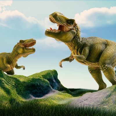 Detailed colored drawing of two TRex Dinosaurs roaring at each other